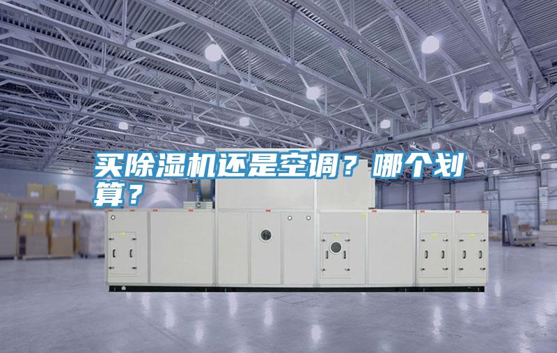 買除濕機還是空調(diào)？哪個劃算？