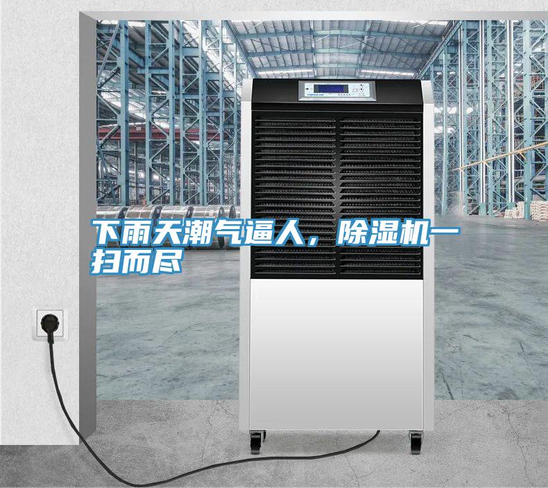 下雨天潮氣逼人,除濕機一掃而盡