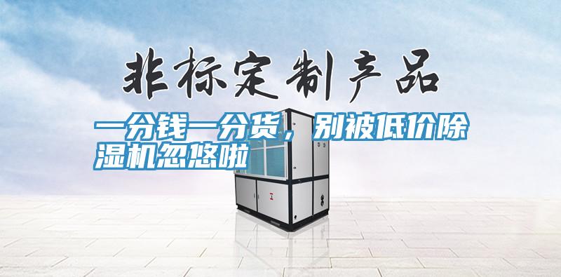 一分錢一分貨,別被低價除濕機忽悠啦