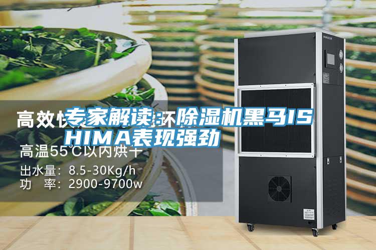 專家解讀:除濕機(jī)黑馬ISHIMA表現(xiàn)強(qiáng)勁