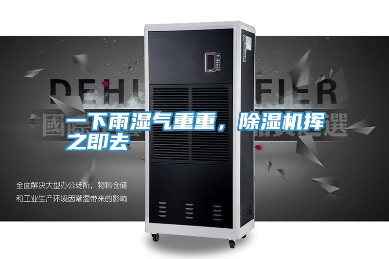 一下雨濕氣重重,除濕機揮之即去