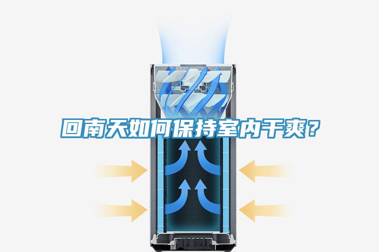 回南天如何保持室內干爽？