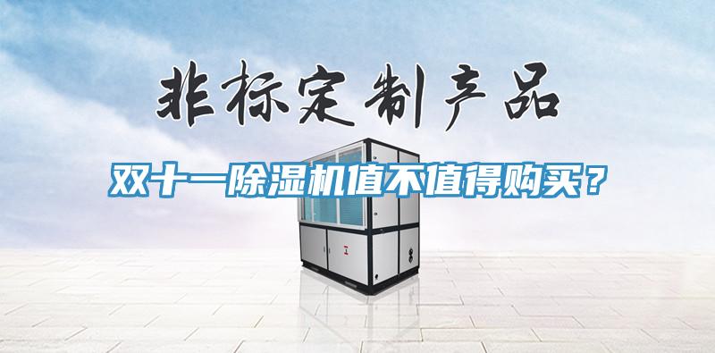 雙十一除濕機值不值得購買？