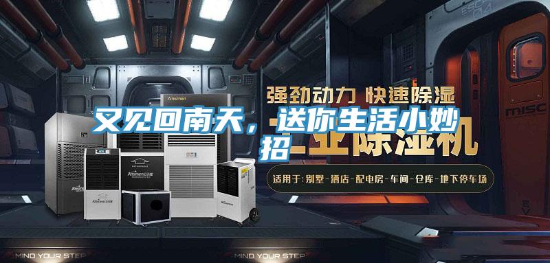 又見回南天，送你生活小妙招