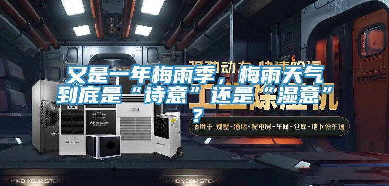 又是一年梅雨季，梅雨天氣到底是“詩意”還是“濕意”？