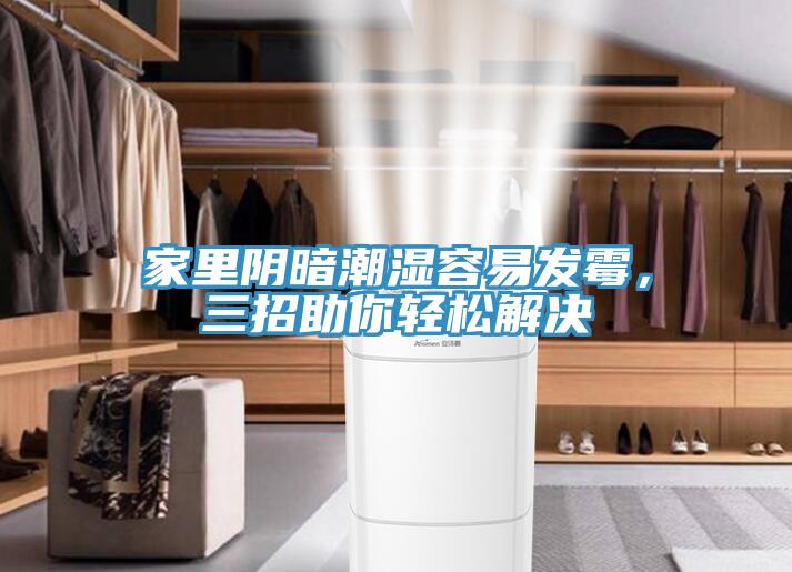 家里陰暗潮濕容易發(fā)霉,三招助你輕松解決