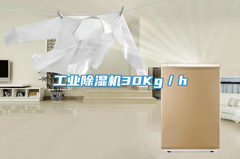 工業除濕機30Kg／h