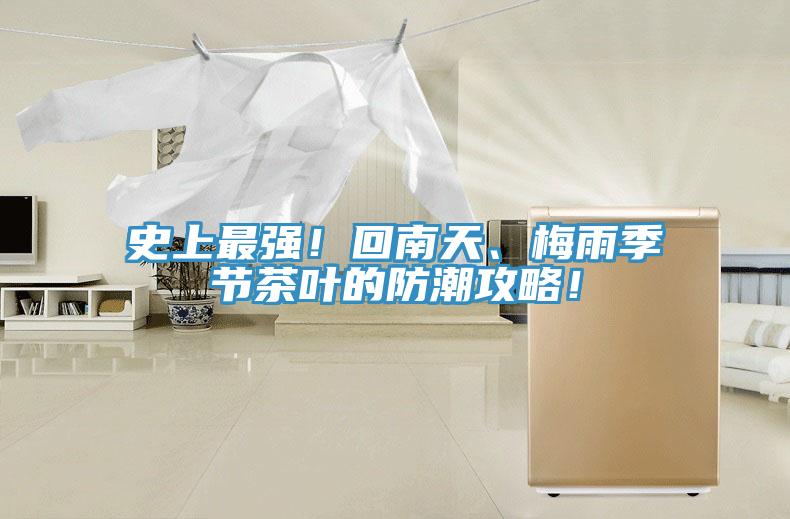 史上最強！回南天、梅雨季節茶葉的防潮攻略！