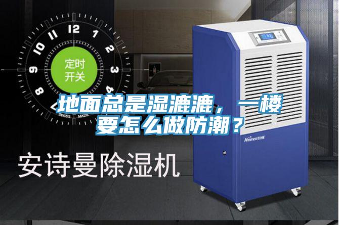 地面總是濕漉漉，一樓要怎么做防潮？