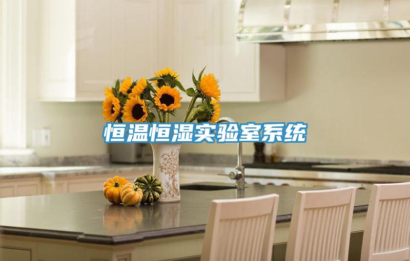恒溫恒濕實驗室系統