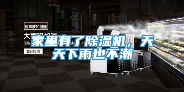 家里有了除濕機,天天下雨也不潮