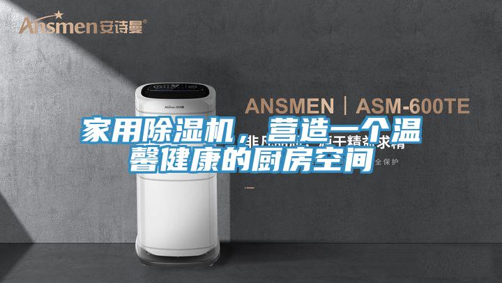 家用除濕機(jī)，營(yíng)造一個(gè)溫馨健康的廚房空間