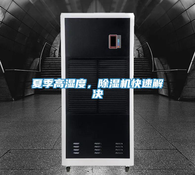 夏季高濕度，除濕機快速解決