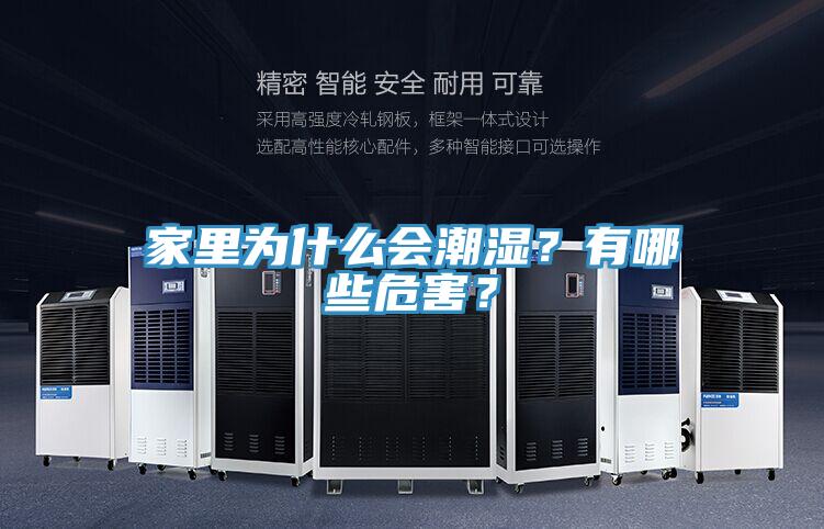 家里為什么會潮濕?有哪些危害?