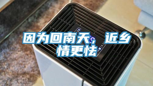 因為回南天，近鄉(xiāng)情更怯