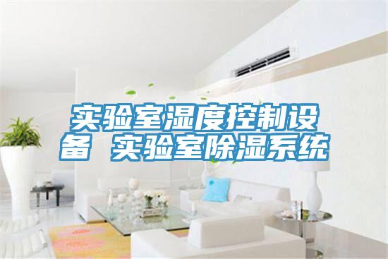 實驗室濕度控制設備 實驗室除濕系統