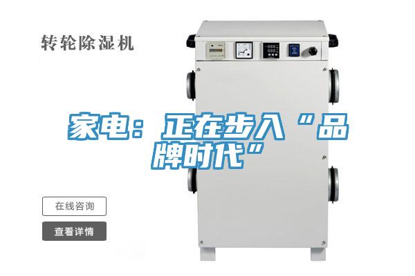 家電:正在步入“品牌時(shí)代”