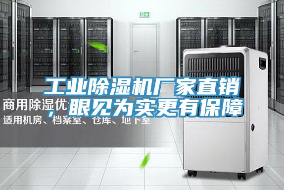 工業(yè)除濕機(jī)廠家直銷(xiāo)，眼見(jiàn)為實(shí)更有保障