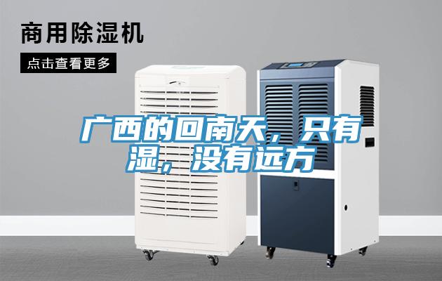 廣西的回南天,只有濕,沒有遠方