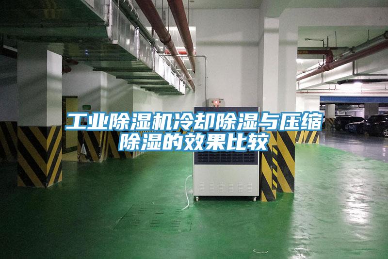 工業除濕機冷卻除濕與壓縮除濕的效果比較