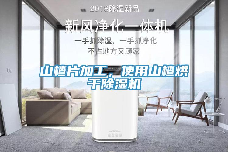 山楂片加工，使用山楂烘干除濕機