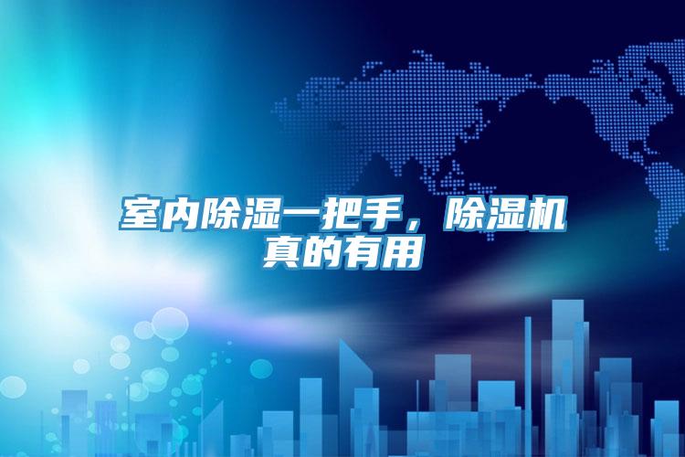 室內除濕一把手，除濕機真的有用