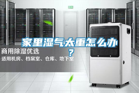 家里濕氣太重怎么辦？