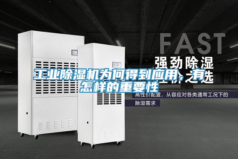 工業除濕機為何得到應用，有怎樣的重要性
