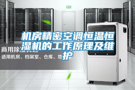 機房精密空調恒溫恒濕機的工作原理及維護