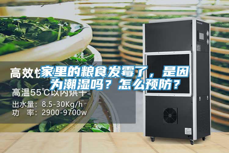 家里的糧食發(fā)霉了，是因為潮濕嗎？怎么預(yù)防？
