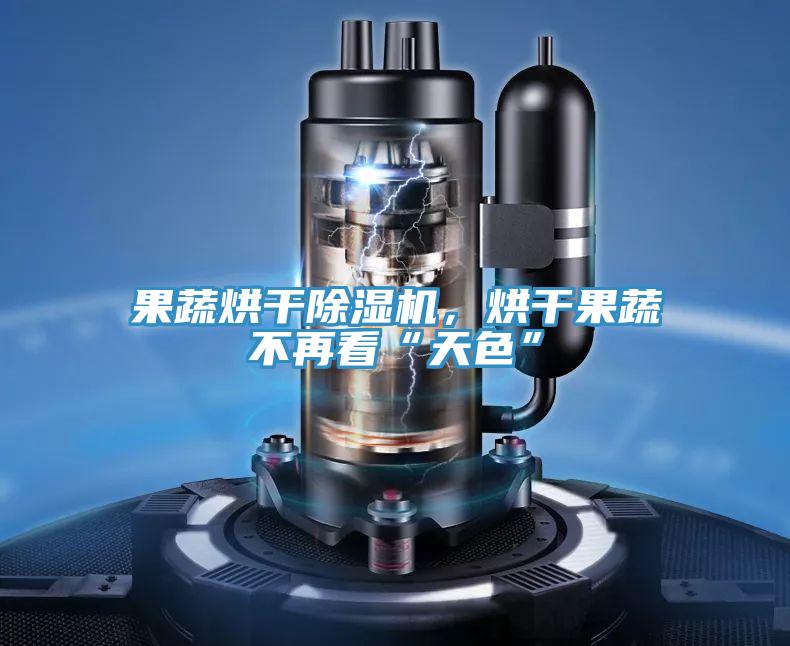果蔬烘干除濕機，烘干果蔬不再看“天色”