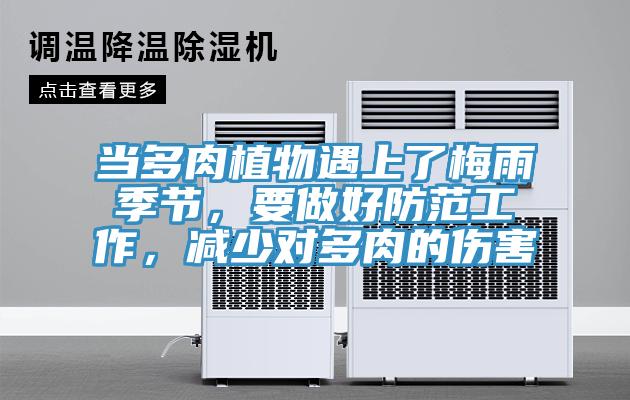 當(dāng)多肉植物遇上了梅雨季節(jié)，要做好防范工作，減少對(duì)多肉的傷害