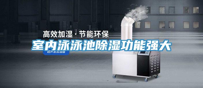 室內泳泳池除濕功能強大