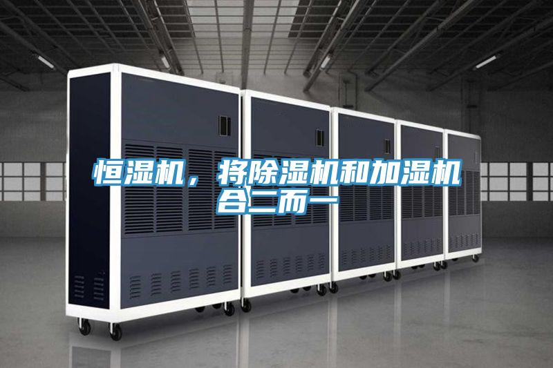 恒濕機，將除濕機和加濕機合二而一