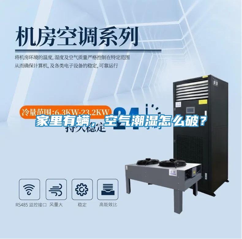 家里有螨，空氣潮濕怎么破？