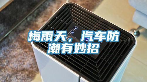 梅雨天，汽車防潮有妙招