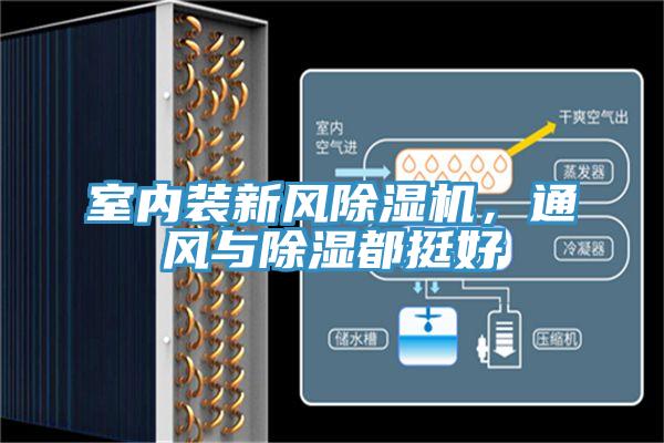 室內裝新風除濕機，通風與除濕都挺好