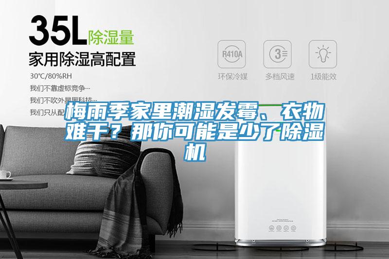 梅雨季家里潮濕發霉、衣物難干？那你可能是少了除濕機