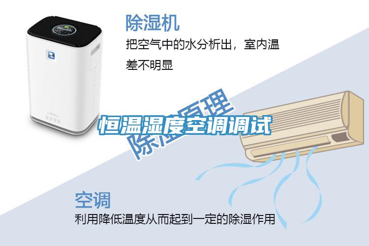 恒溫濕度空調調試