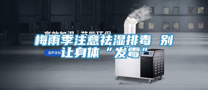 梅雨季注意祛濕排毒 別讓身體“發霉”