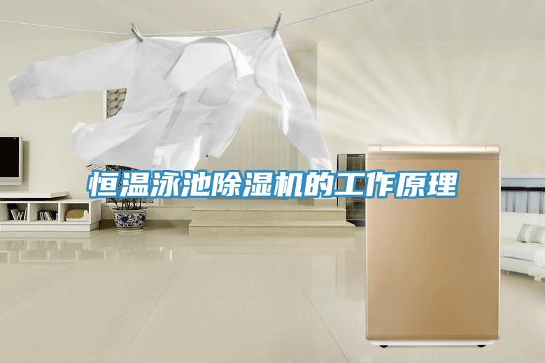 恒溫泳池除濕機的工作原理