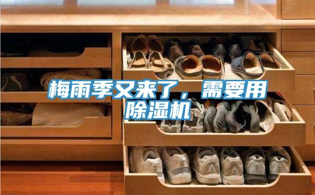 梅雨季又來了，需要用除濕機