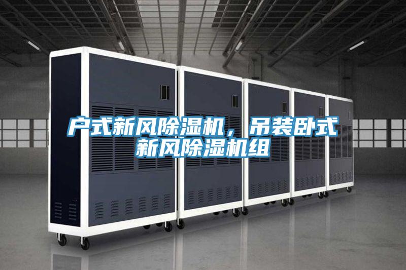 戶式新風(fēng)除濕機(jī),吊裝臥式新風(fēng)除濕機(jī)組