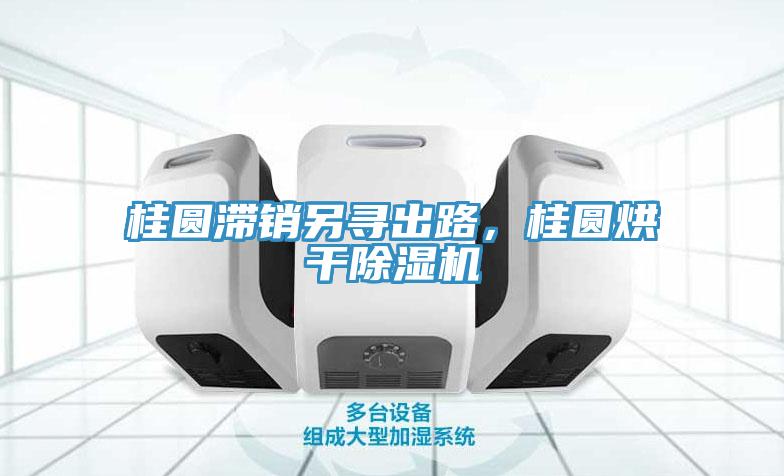 桂圓滯銷另尋出路，桂圓烘干除濕機