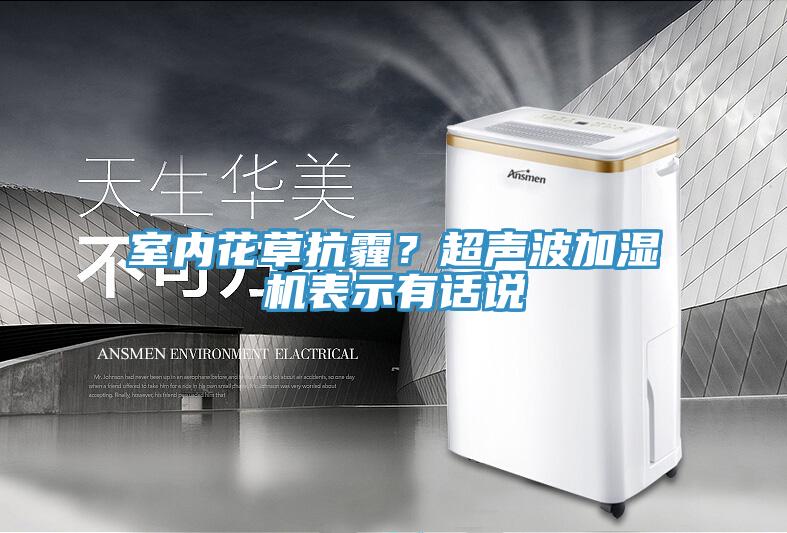 室內花草抗霾？超聲波加濕機表示有話說