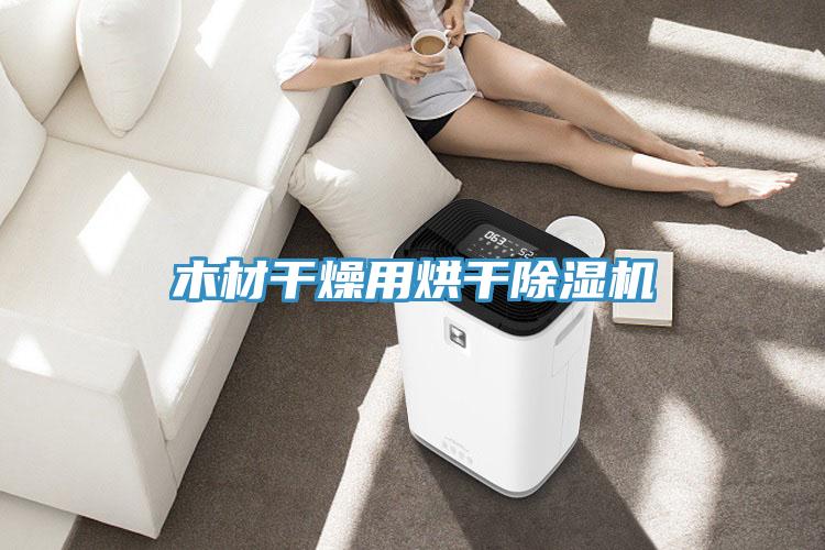 木材干燥用烘干除濕機