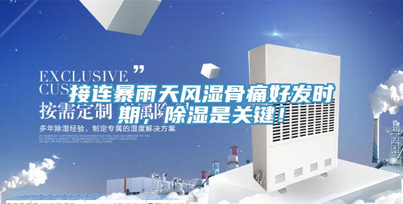 接連暴雨天風濕骨痛好發時期，除濕是關鍵！