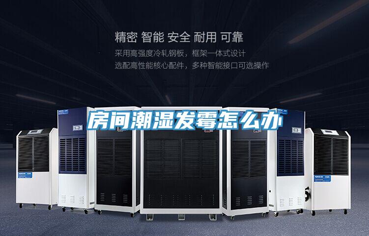 房間潮濕發霉怎么辦