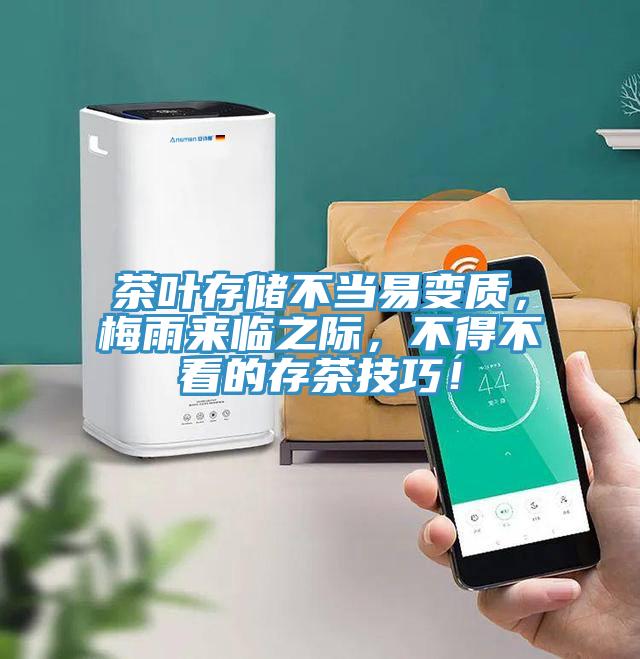 茶葉存儲不當易變質，梅雨來臨之際，不得不看的存茶技巧！