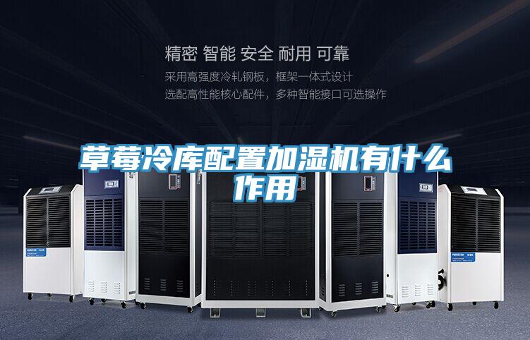草莓冷庫配置加濕機(jī)有什么作用